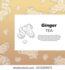 Sticker label Ginger aromatic herbal treats spiced roots in medicine and pharmacy natural antibacterial tea