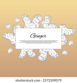 Sticker label Ginger aromatic herbal treats spiced roots in medicine and pharmacy natural antibacterial tea