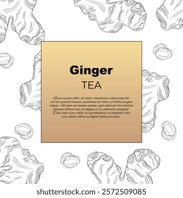 Sticker label Ginger aromatic herbal treats spiced roots in medicine and pharmacy natural antibacterial tea