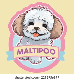 Sticker with light maltipu (Maltese poodle). isolated