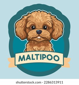 Sticker with little brown maltipoo puppy aka maltese poodle with background