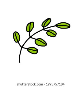 Dibujo a mano con doodle de hoja verde. Elemento de diseño de vectores para niños libro de colorantes, decoración de interiores de cocina o textiles o prendas de vestir.
