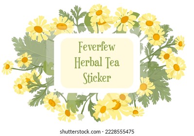 Sticker with lush Feverfew branches and flowers