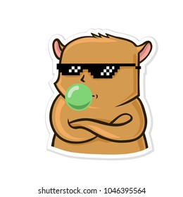 Sticker for messenger with funny animal. Calm hamster in sunglasses inflates gum. Vector illustration, isolated on white background.