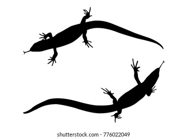 Sticker on car of reptile: Silhouette of lizard. Vector Illustration. EPS10