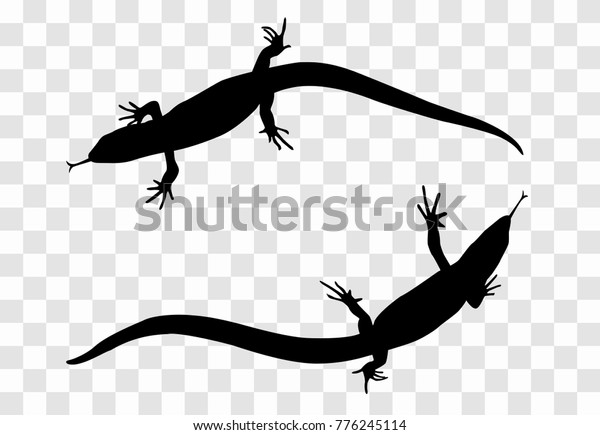 Sticker on car of reptile: Silhouette of lizard.\
Vector Illustration.\
EPS10