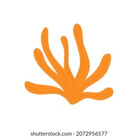 Sticker of orange algae. Underwater world, old plant. Nature before human birth, beach foliage. Abstract image, minimalistic picture, organic shape, bright leaf. Cartoon flat vector illustration