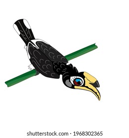 Sticker Oriental pied horn-bill bird