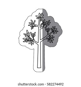 sticker outline tree with leaves and trunk vector illustration