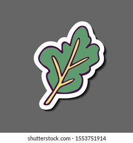 Sticker - plant leaf (mint, spinach or arugula)  hand-drawn in cartoon style, colored artwork isolated on white mount, in vector.
