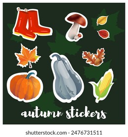 sticker set autumn elements. Fall leaves, mushrooms, maple, acorns, oak, pumpkins. Harvest time. Colored trendy illustration. Autumn stickers.