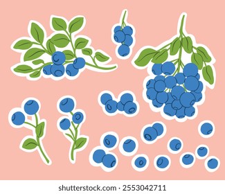 Sticker Set with Blueberry Branches, Berries, Leaves with a Cut-out Field Vector Illustration