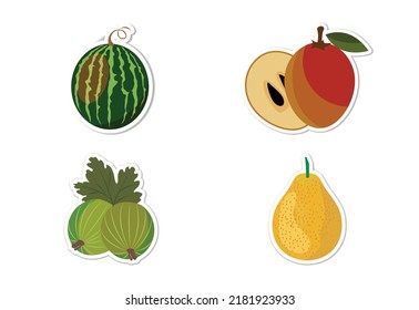 Sticker set of different fruits, Flat vector illustration 