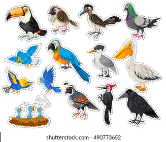Sticker set with many types of birds illustration