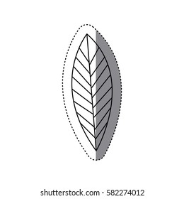 sticker silhouette leaf with ramifications icon vector illustration