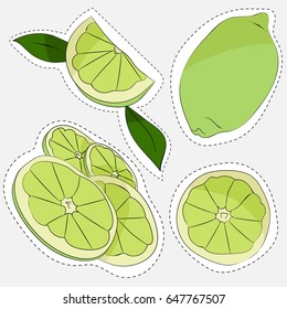 Sticker style illustration of lime on grey background