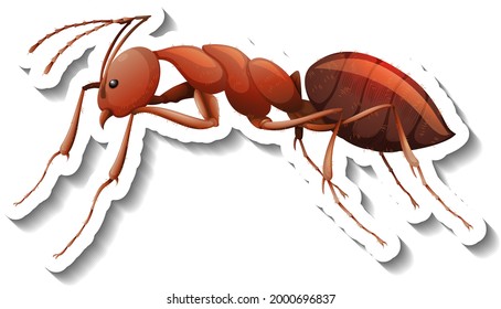 A sticker template with close up of red ant isolated illustration