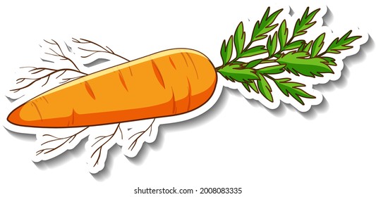 A sticker template with root vegetable carrot isolated illustration