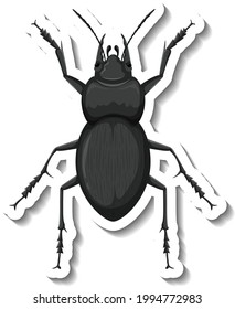 A sticker template with top view of a beetle isolated illustration