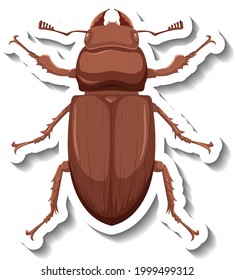 A sticker template with top view of a beetle isolated illustration