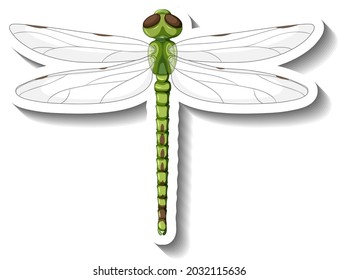 A sticker template with top view of dragonfly isolated illustration