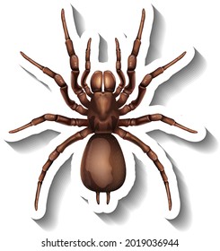 A sticker template with top view of a spider isolated illustration