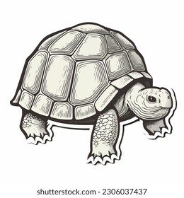 Sticker Tortoise white outline. flat vector illustration