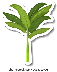 Sticker tropical banana tree on white background illustration