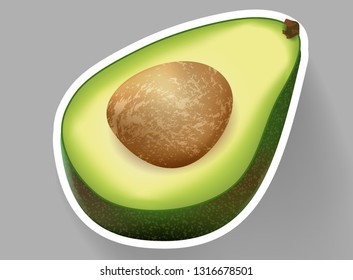 Sticker Vector realistic fresh fruit avocado isolated on white background. 3d vector illustration for design banner or promotion poster mock up eps10