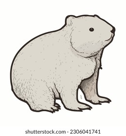 sticker Wombat white outline. flat vector illustration