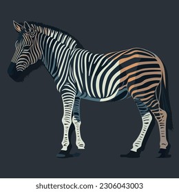 sticker Zebra white outline. flat vector illustration