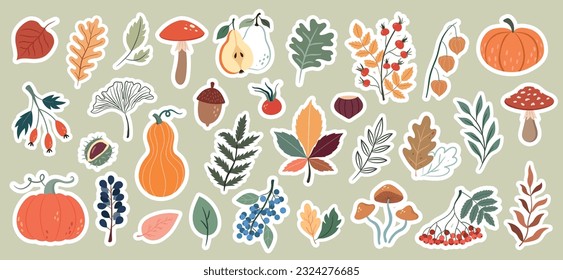 Stickers with autumn elements for decoration. Vector illustration