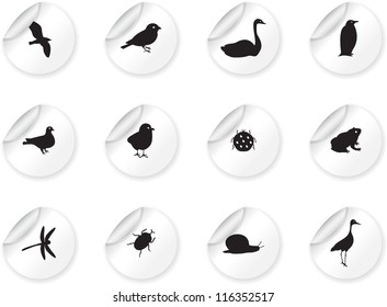 Stickers with birds and insects