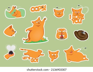 Stickers with a cat and a fly for social networks, packaging, printing, print on clothes. Funny characters, vector illustration