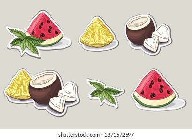 Stickers collection. Tropical fruits label set. Ripe, tasty, fresh watermelon, pineapple, coconut, mint. Fruit hand drawn icon pack. Closeup.