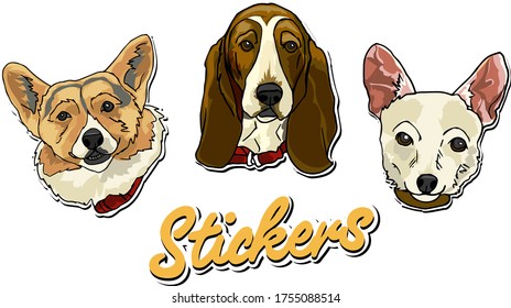 Stickers of different breeds of dogs heads design element