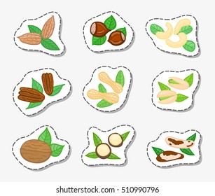 Stickers with doodle nuts isolated on white background. Almond, hazelnut, cashew, pecan, peanut, pistachio, walnut, macadamia, brazil.