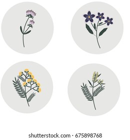 Stickers with field flowers