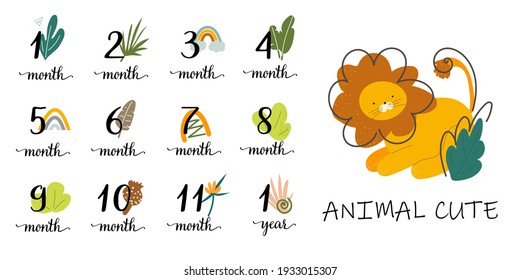 stickers for the first year of a baby's life. from 1 month to 12 months. vector illustration with lion. cute stickers for kids. child control for parents