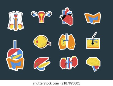 Stickers of human internal organs in geometric style. Concept anatomy illustrations build by abstract shapes for brand, ads, background, packaging, ads..