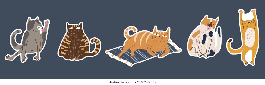 Stickers for International Cat Day on August 8th. Funny cheerful cartoon fat cat. Happy Pets Print greeting cards, posters, flyers.