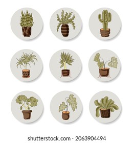 Stickers isolated on white background. A set of indoor plants: cactus, monstera, dracaena and others. Various plant pots. Vector in flat style.