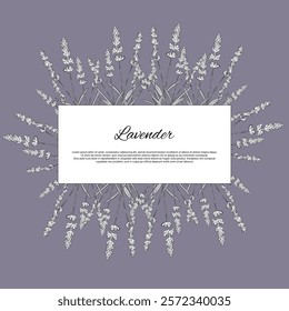 Stickers label card Aroma herbal lavender purple flower natural relaxation in aromatherapy, tea, medicine, candle, decor 