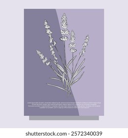 Stickers label card Aroma herbal lavender purple flower natural relaxation in aromatherapy, tea, medicine, candle, decor 