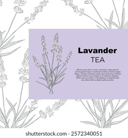 Stickers label card Aroma herbal lavender purple flower natural relaxation in aromatherapy, tea, medicine, candle, decor 