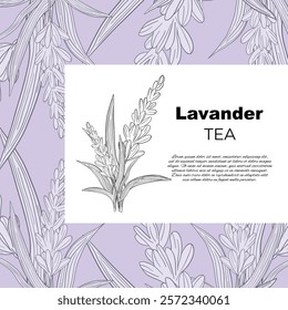 Stickers label card Aroma herbal lavender purple flower natural relaxation in aromatherapy, tea, medicine, candle, decor 