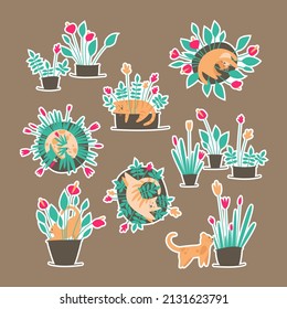 Stickers with naughty cats and potted flowers. Cats love to sleep in flower pots. Flat vector illustration.