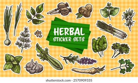 Stickers pack of spices and seasoning herbs sketches. Vector hand drawn rosemary, basil, thyme and parsley plants green leaves. Oregano, garlic, mint and nutmeg, cilantro, dill and poppy flower seeds