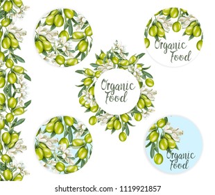 Stickers with a pattern of olive branches and flowers. Elements for design. 