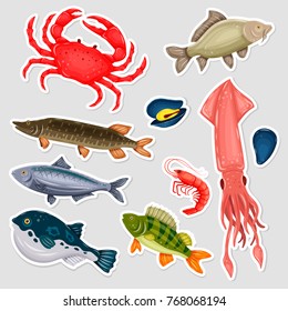 Stickers seafood set with crab, fish, mussel and shrimp on gray background. Design for restaurant menu, market. Marine creatures in flat style, sticky label - vector illustration